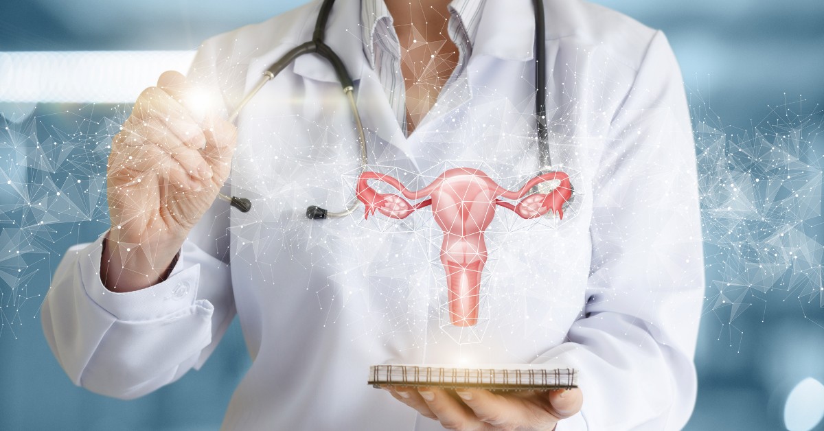 uterus