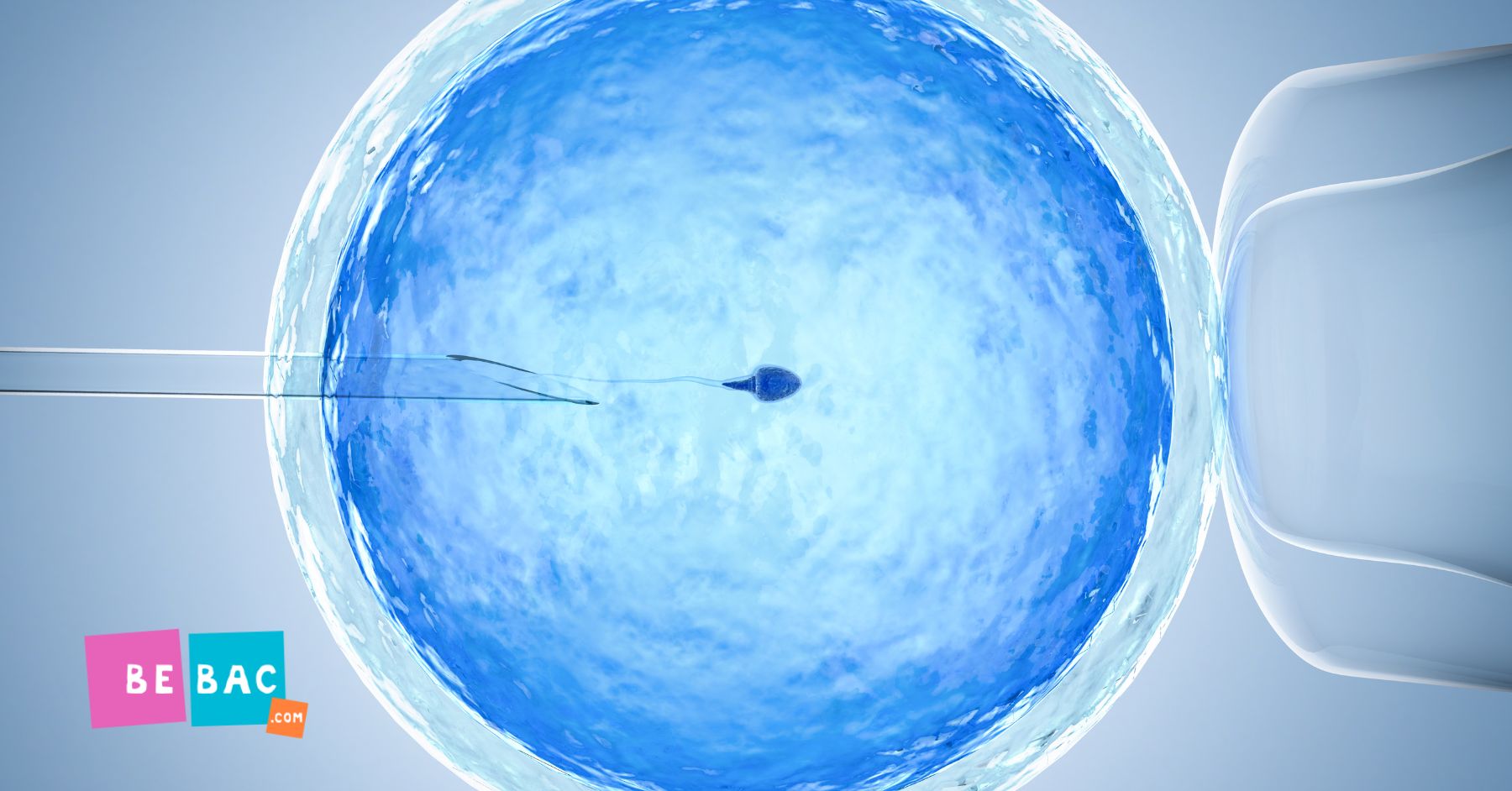 spermatozoid ulazi u jajnu ćeliju ICSI