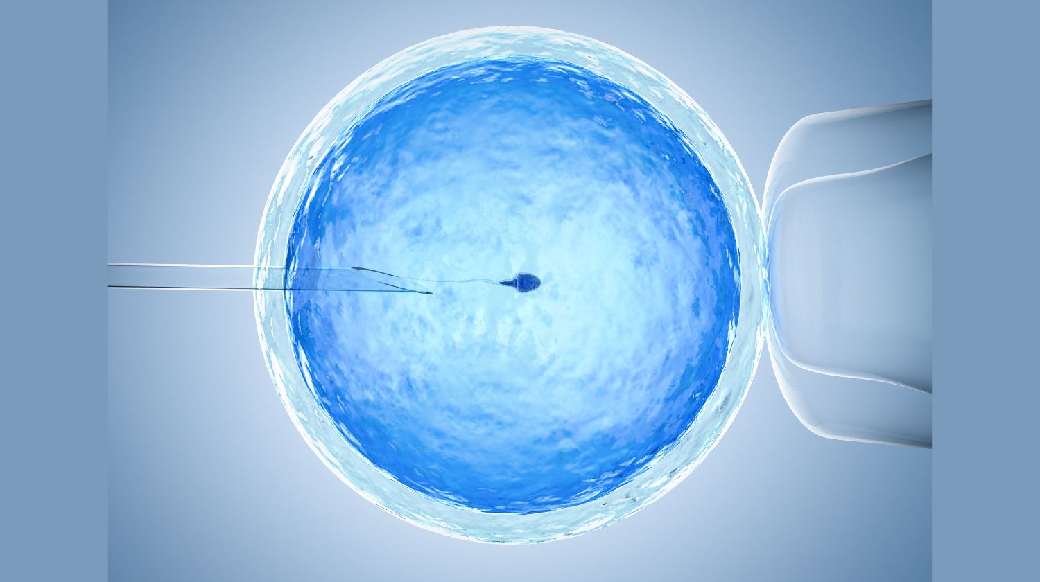 prikaz inseminacije