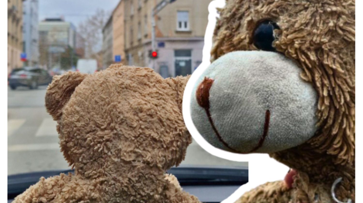 Plišani meda izgubljena igračka