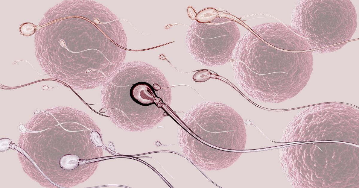 spermatozoidi i matične ćelije na bež pozadini