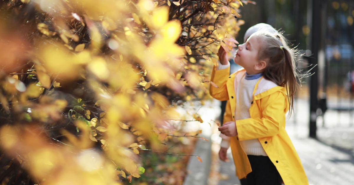 Devojčica jesen žuto lišće